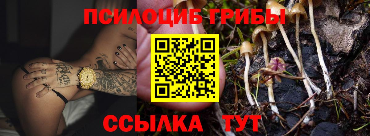 Ликино-Дулёво  Псилоцибиновые грибы Psilocybe  Вход с VPN 