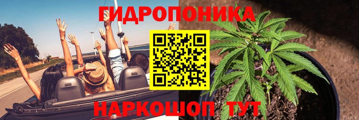 Конопля гибрид Ликино-Дулёво